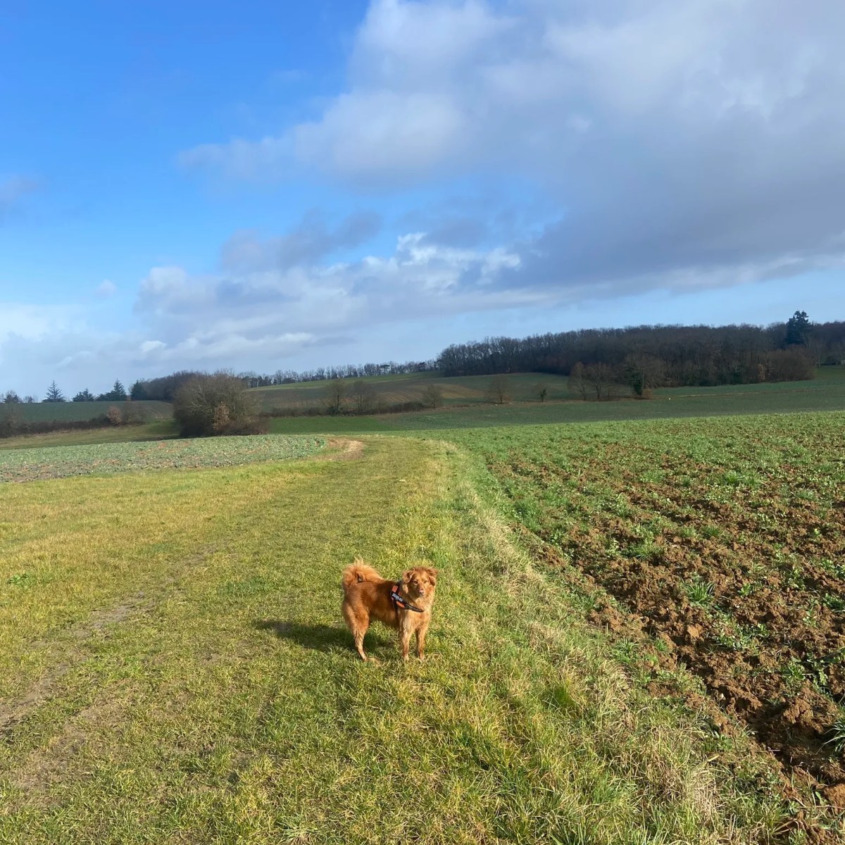 Explore Pech de l’Estelle Loop near Villeneuve-sur-Lot