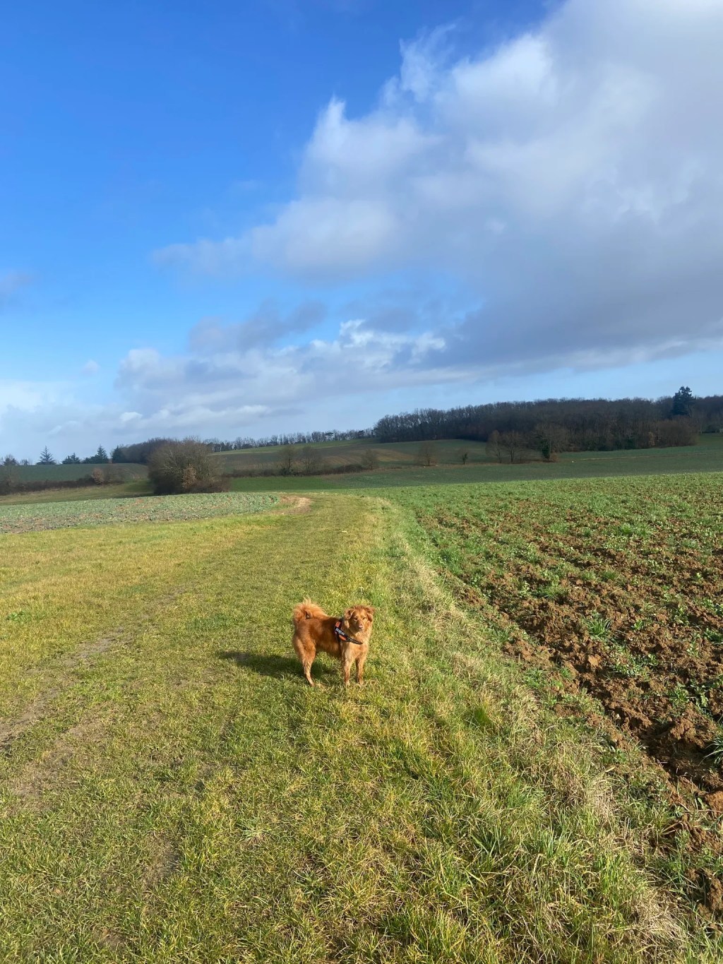 Explore Pech de l’Estelle Loop near Villeneuve-sur-Lot