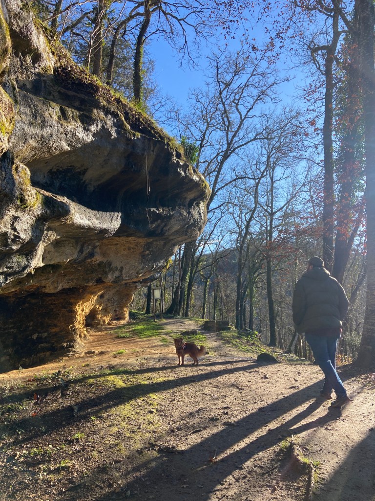 A person walking a dog on a forest trail, with a large rock formation and bare trees in the background under a clear blue sky.