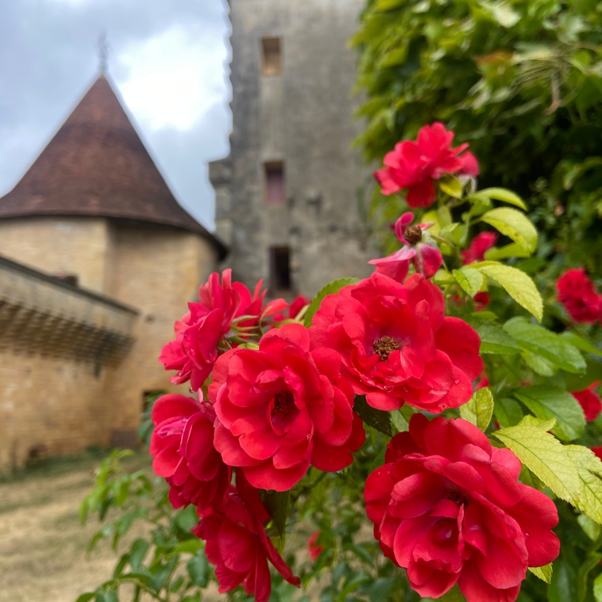 Visit the Stunning Château de Biron and Monpazier&nbsp;Village