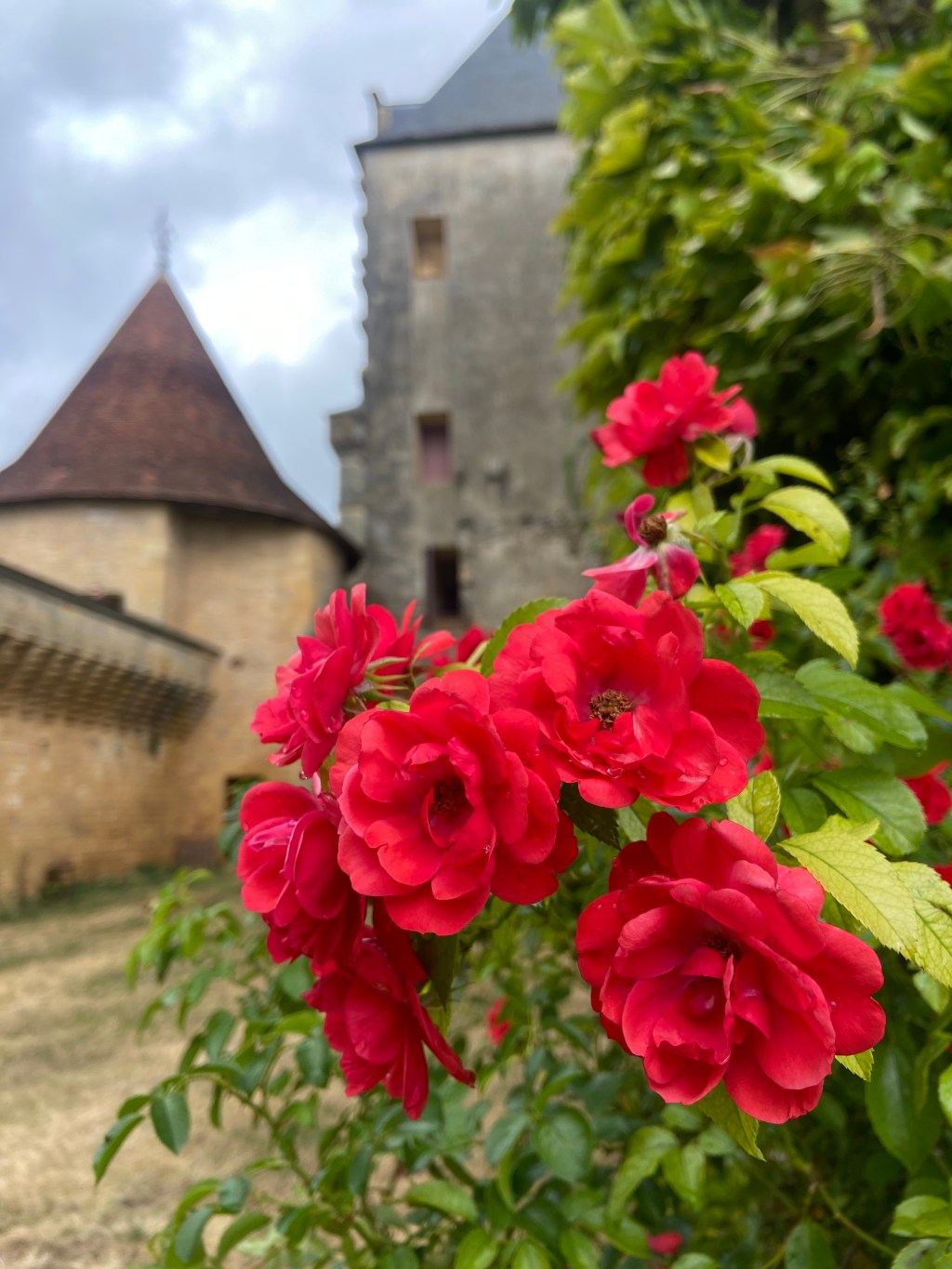 Visit the Stunning Château de Biron and Monpazier Village