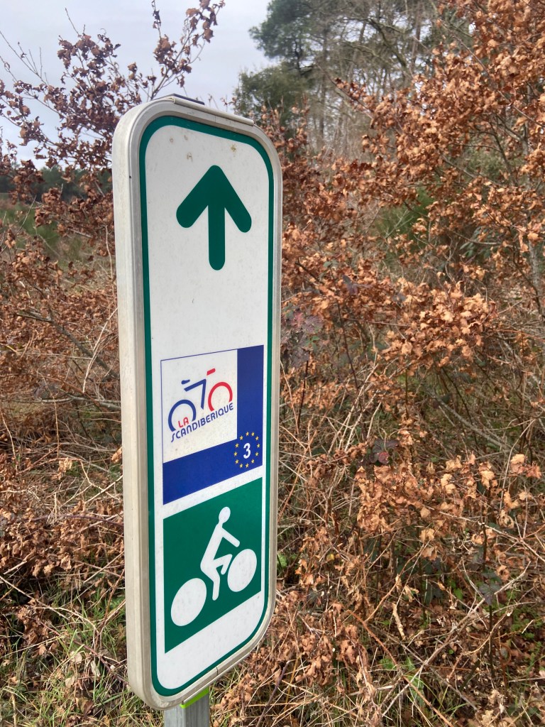 A directional bicycle path sign featuring an upward arrow, the logo for 'La Scandiberique,' and a figure of a cyclist on a green background, set against a backdrop of brown foliage.