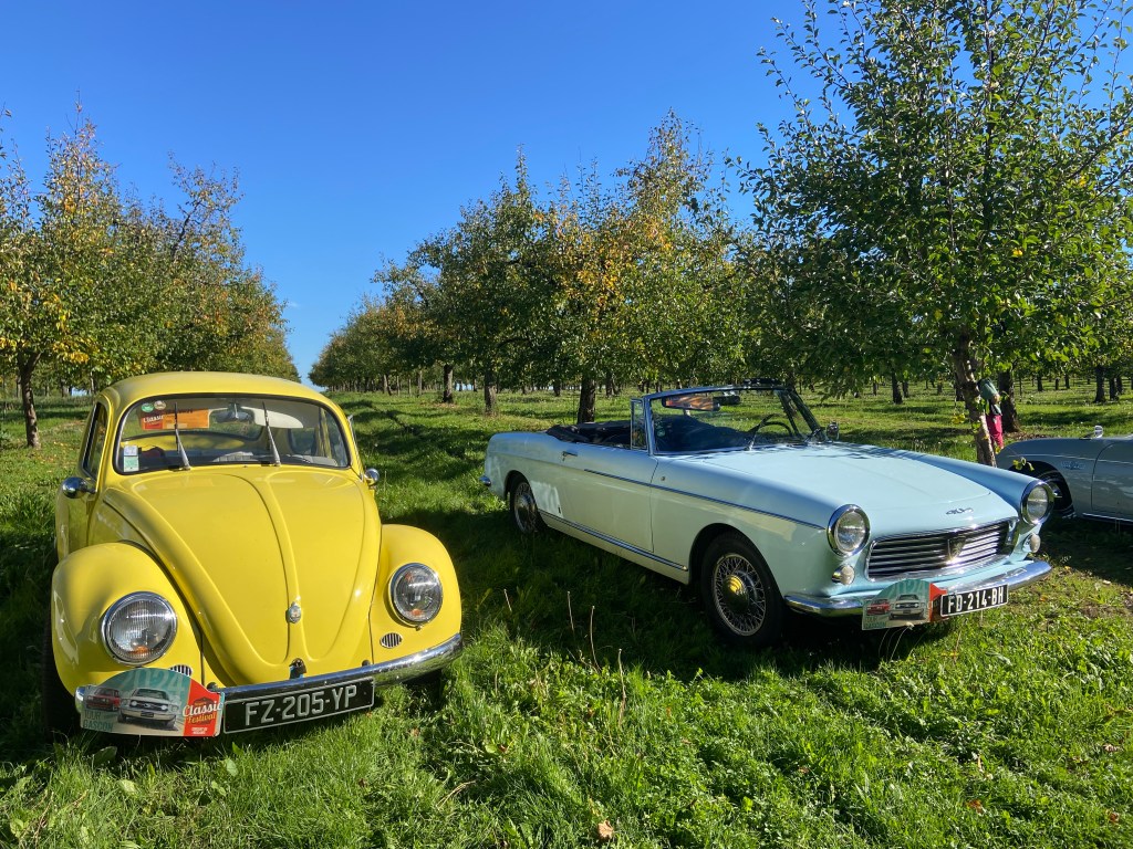 A classic yellow Volkswagen Beetle parked next to a light blue convertible car in an orchard with trees and blue sky in the background.